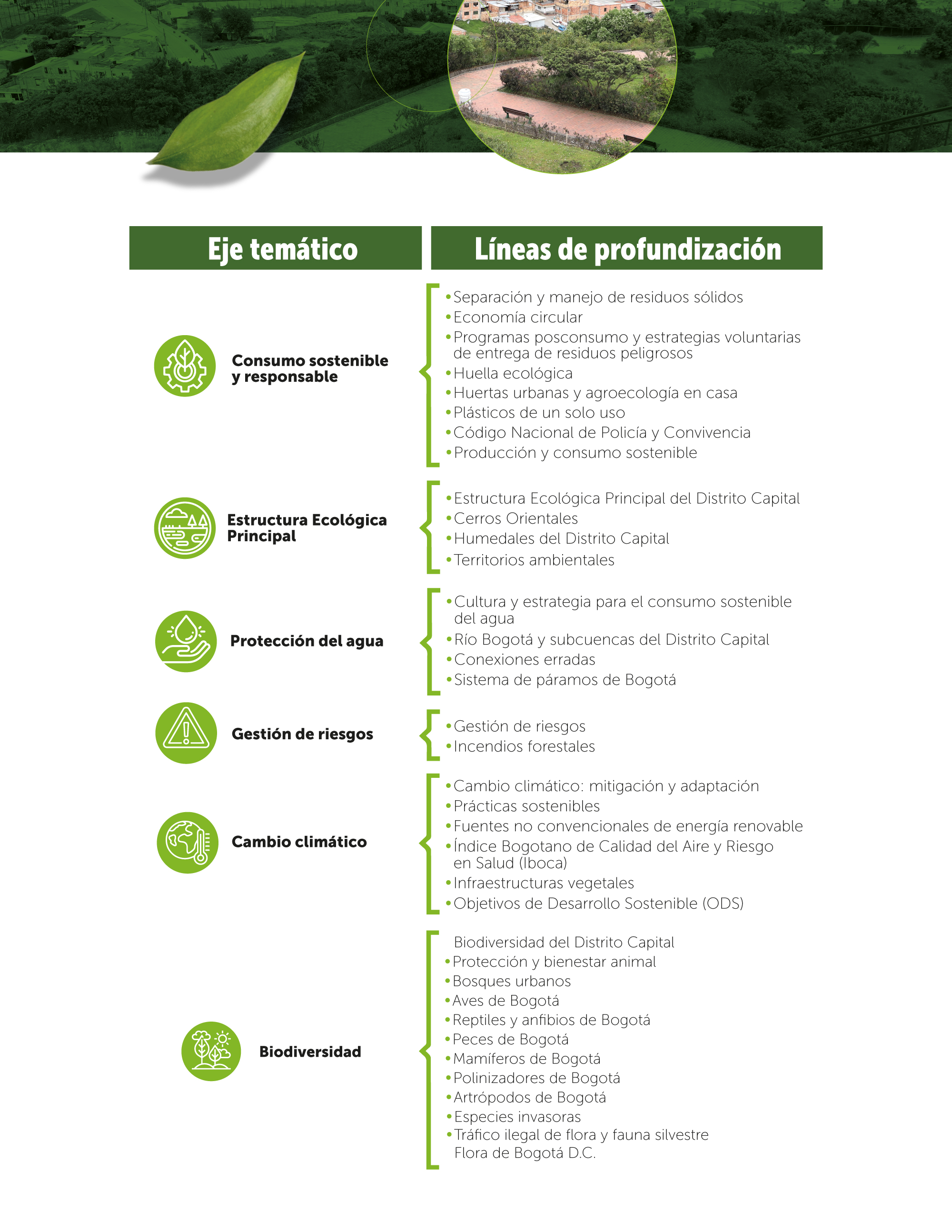 Tabla temática aulas